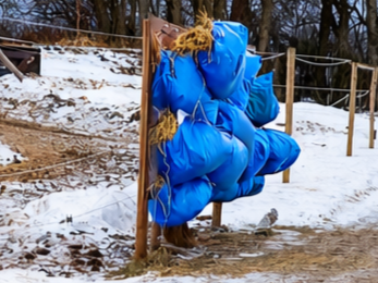 Höpåsarna kan vara överfulla men det är inte säkert att de innehåller så mycket. 