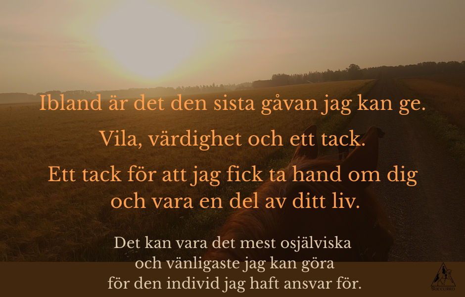 Det svåraste beslutet kan vara den sista gåvan jag kan ge.