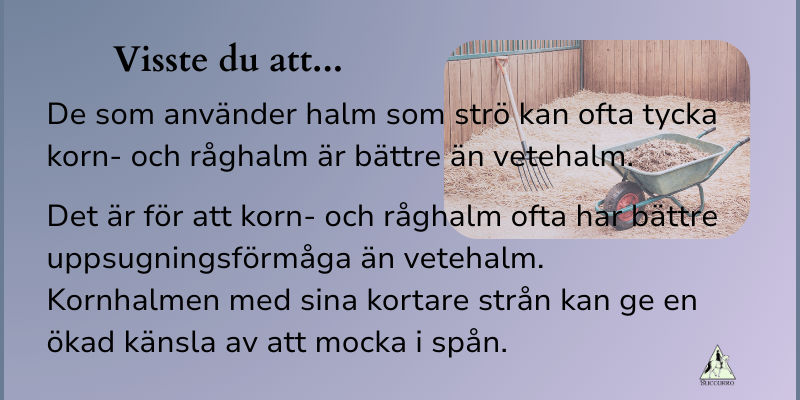 Smakligheten påverkas mycket av hygienisk kvalitet, bladandel, lagring och damminnehåll. 

Så det är klokt att inte stirra sig blind på enbart sädesslaget.