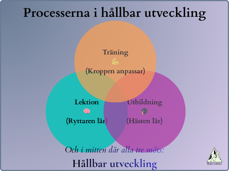 Processerna i hållbar utveckling – modell som visar sambandet mellan träning, lektion och utbildning hos häst och ryttare