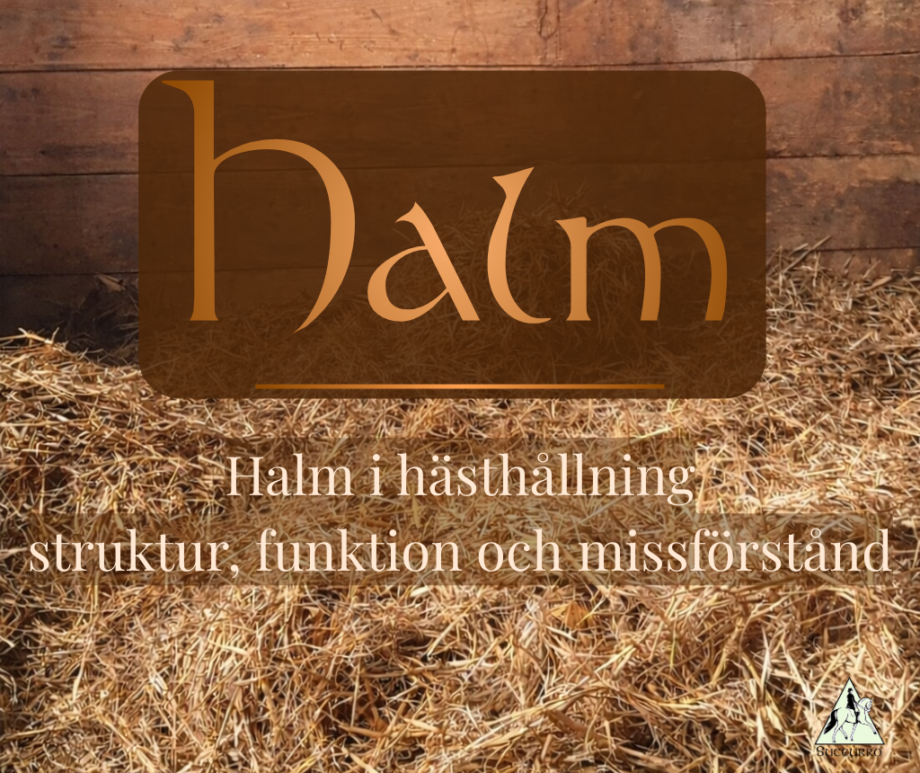 Del 4 När halmen får skulden – men det egentligen handlar om något annat