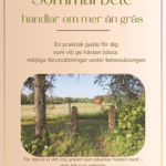 försättsbladet på guiden