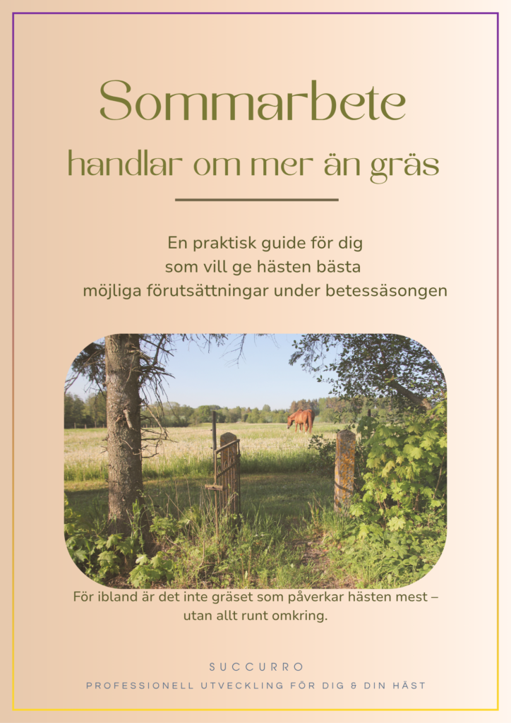 försättsbladet på guiden