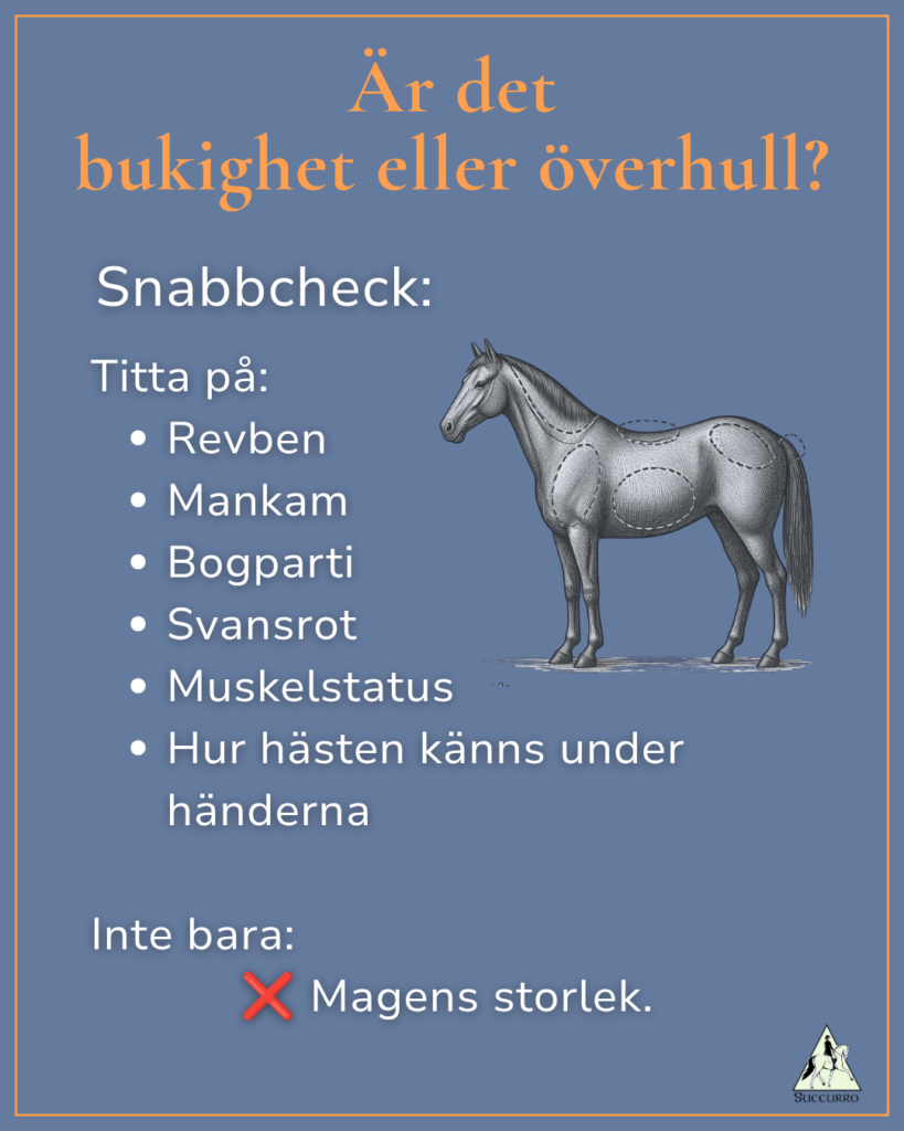 faktaruta om var du kan kontrollerar fetma på häst. En etsad bild på en häst är bifogad med riskområden markerade